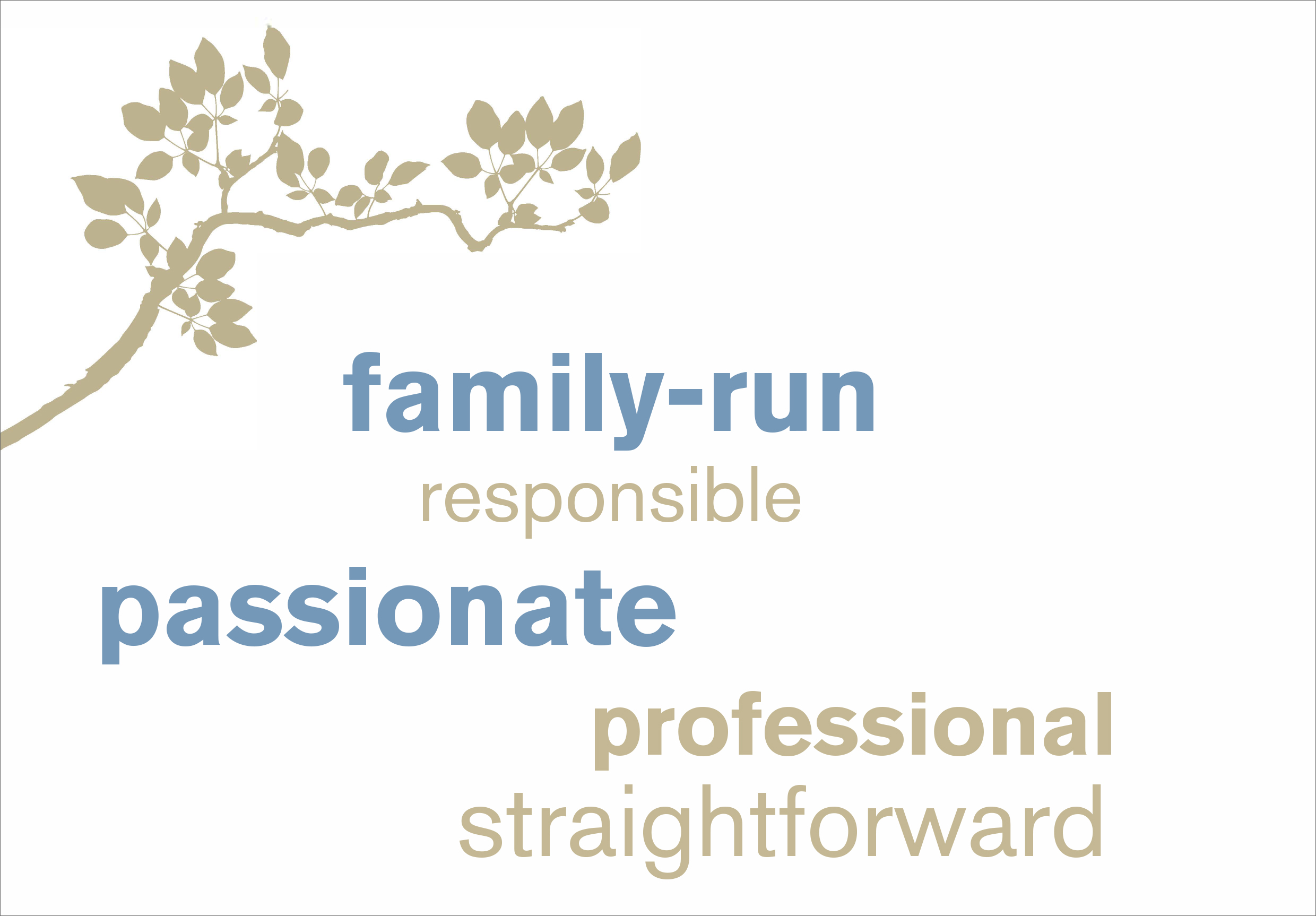 Graph of Renggli construction values: professional, passionate, family-run, responsible and straigthforward.